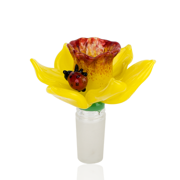 Bowl Piece -  Daffodil - 14mm